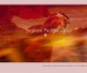 Thumbnail Image Thumbnail Image